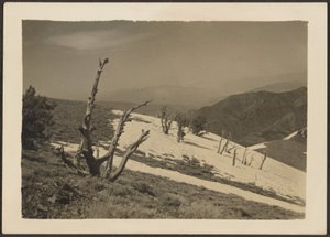 [Paesaggio] da Louis Fleckenstein