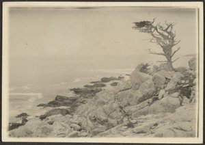 [Paesaggio]