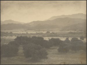 [Paesaggio con alberi bassi] da Louis Fleckenstein