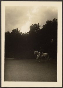 [Uomo a cavallo con alberi scuri e cielo chiaro] da Louis Fleckenstein