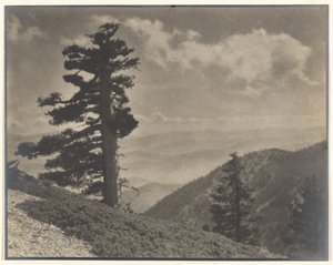 [Sulla cresta verso Old Baldy]