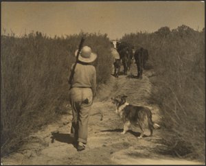 Su una catena montuosa del deserto