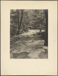 Rapide del fiume Merced - Isole felici da Louis Fleckenstein