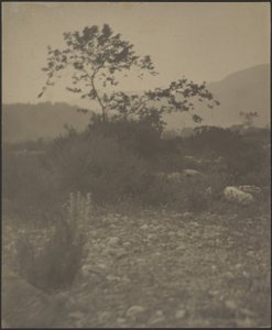 [Paesaggio roccioso] da Louis Fleckenstein