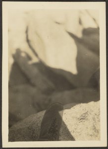 [Shoe on Rocks]