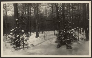 [Paesaggio innevato] da Louis Fleckenstein