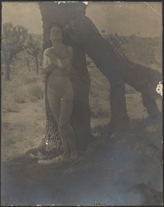 Spirito del Giosuè da Louis Fleckenstein