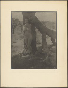  da Louis Fleckenstein