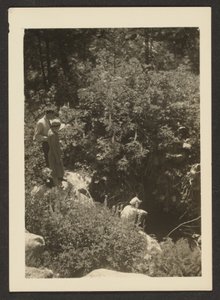 [Primavera a Fern Valley]