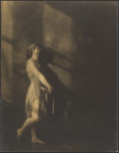 Il modello