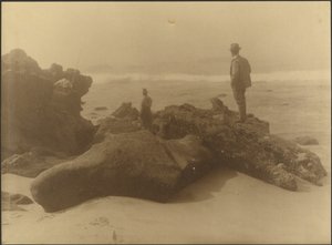 [Tre uomini che pescano dagli scogli sulla spiaggia] da Louis Fleckenstein