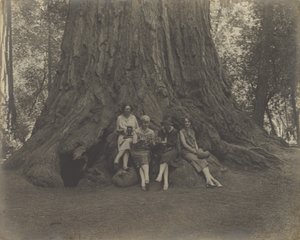 [Donne con telecamere alla base di un albero]. da Louis Fleckenstein