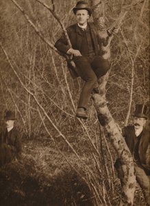 Uomo seduto su un albero