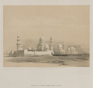 Egitto e Nubia, Volume III: Tombe dei Memlooks, Cairo, 1849 da Louis Haghe