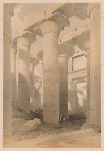 Egitto e Nubia: Volume II - N. 14, Karnak da Louis Haghe