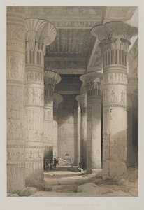 Vista Sotto il Grande Portico del Tempio, Philae