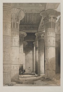 Egitto e Nubia, Volume I: Vista sotto il grande portico del tempio, Philae, 1846 da Louis Haghe