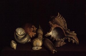 Natura morta di conchiglie su un ripiano da Louis Hubner