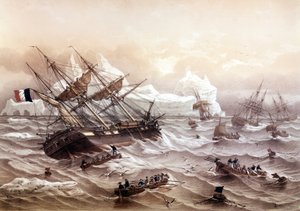 Caccia alla balena a Terranova. Dipinto di Lebreton. Inizio XIX secolo da Louis Le Breton