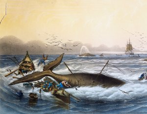 Caccia alla balena nei mari del sud, litografia a colori di Louis Lebreton (morto nel 1866) da Louis Le Breton