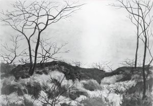 Paesaggio blu, c. 1896-1899 da Louis Michel Eilshemius