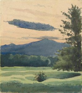 Prato verde