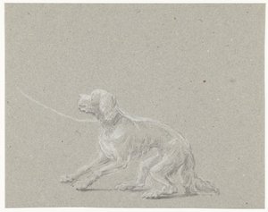 Cane al guinzaglio