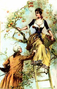 Raccolta: Pubblicità per il cacao Blooker 1874