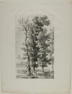 Studio di Alberi da Louis Pierre Baltard