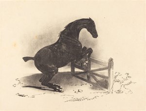 Cavallo che salta una barriera