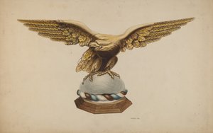 Aquila
