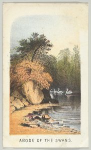 Dimora dei cigni, dalla serie, Vedute di Central Park, New York, Parte 2, 1864 da Louis Prang