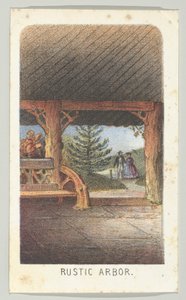 Rustic Arbor, dalla serie, Vedute di Central Park, New York, Parte 3, 1864