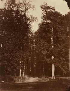 Foresta a Saint-Cloud da Louis Rémy Robert