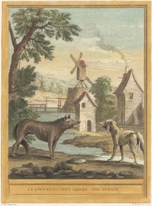 Il lupo e il cane magro