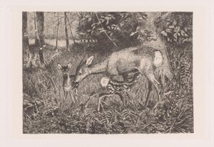 Cervo con due cuccioli (Rehfamilie) da Louis Theodor Lindblohm