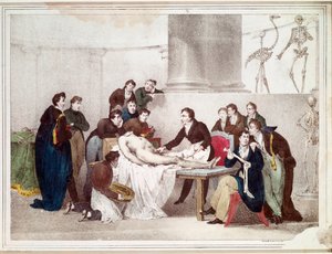 La lezione di anatomia da Louis Thomas Bardel