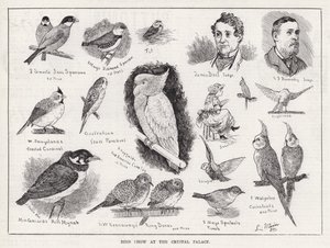 Mostra di uccelli al Crystal Palace