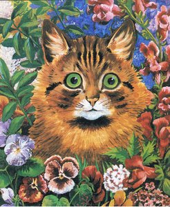 Studio di gatto