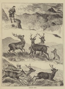 Sport nelle Highlands da Louis Wain