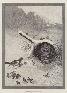 Il possesso è nove decimi della legge da Louis Wain