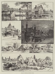 Schizzi vagabondi, Headcorn, Kent