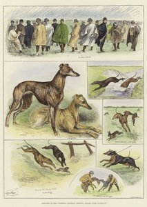 Schizzi al raduno di Waterloo Coursing