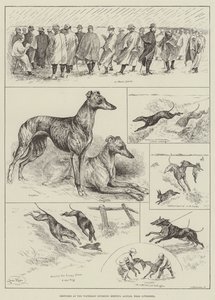 Schizzi al Waterloo Coursing Meeting, Altcar, vicino a Liverpool da Louis Wain