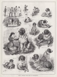Mostra del Club di San Bernardo a Knightsbridge da Louis Wain