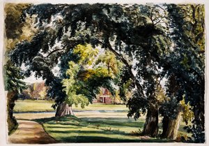 Paesaggio da Louisa Ann Neville