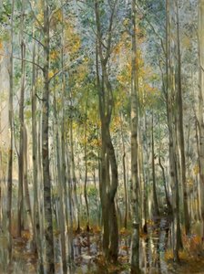 Una foresta. Inondazioni sul lago di Starnberg