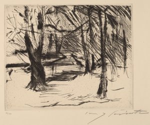 Alberi al Sole da Lovis Corinth