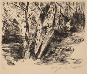 Betulle nel Tiergarten