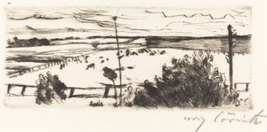 Paesaggio marino
